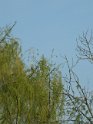 La Courneuve 2008